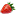 maxkorzhnn.ru