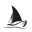 mbtasailboston.com