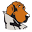 mcgruff-safe-kids.com