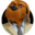 mcgruff.org