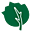 mcliepa.lv