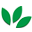 medisynth.com