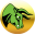 medved.net