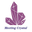 meetingcrystal.com