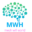 meshwifihub.com