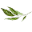 metimebotanicals.com
