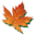 mfda.ca