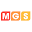 mgs.co.il
