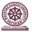 mgu.ac.in