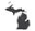 michigantownshipservices.org