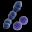 microbiologytext.com