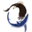 microwavetelemetry.com