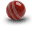 migcricketclub.org