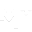 miggster.com