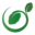 mindseed.cn