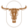 minicattle.com