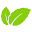 mint-energie.com