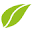 mint-medical.com