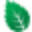 mintformations.co.uk