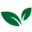 mintmovers.com