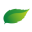 mintprint.ru