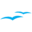 mira-aviation.com