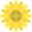 mirasol.net