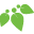 mmherbs.com