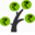 mntreecapital.com