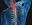 modernspinetx.com
