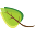 mojaobcina.si