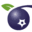monavaleblueberries.co.nz