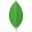mongodb.net.cn