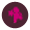 morningstarbirth.com