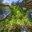 mostlygreen.com
