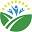 mountainairherbs.com