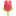 mozartsroses.com