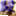 msrnorthwest.org