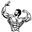 musclekorea.shop