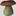 mushroaming.com