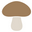 mushroom.no