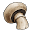 mushroom.world