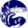 muskokawatershed.org