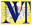 mvtechnosoft.com