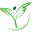 myf.org.mo