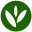 mygreensdaily.com
