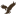 mymemorizer.com