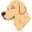 mypetdoggie.com