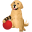 mypetsbrace.com