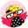 myscrapchick.com